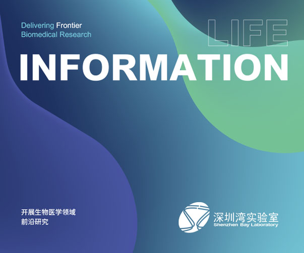 什么是標志設計?了解更多有關這個品牌的基本知識