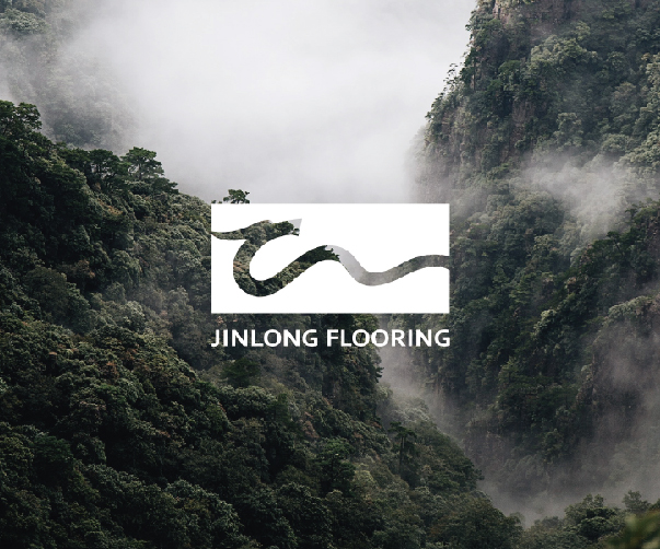 矢量與位圖圖像設(shè)計上海vi設(shè)計公司終極指南